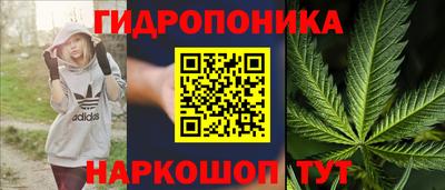 молекула духа Лесосибирск