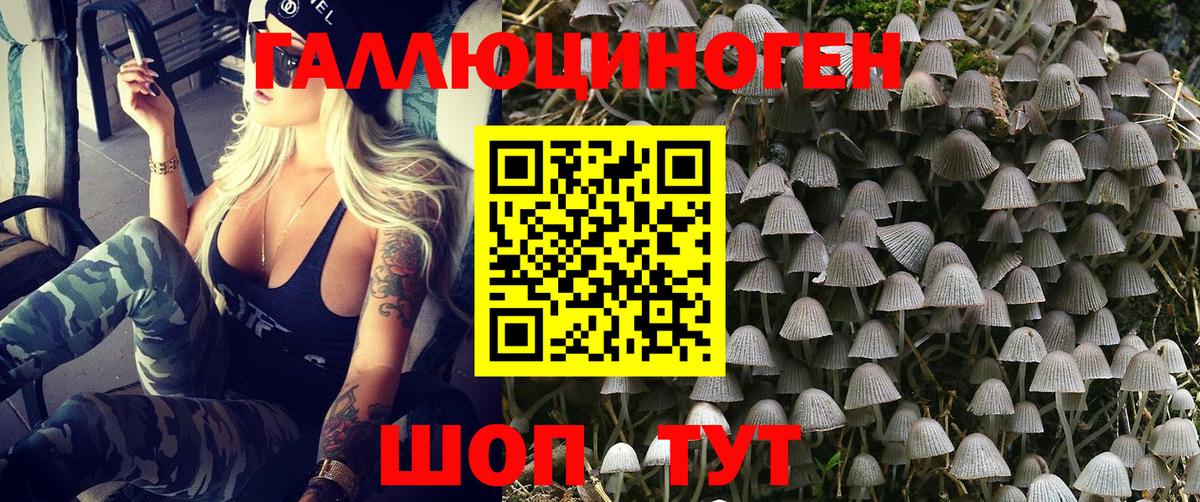 Галлюциногенные грибы Magic Shrooms  Галлюциногенные грибы Psilocybe  Вход с VPN  Троицк 