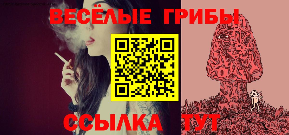 Галлюциногенные грибы Cubensis Троицк